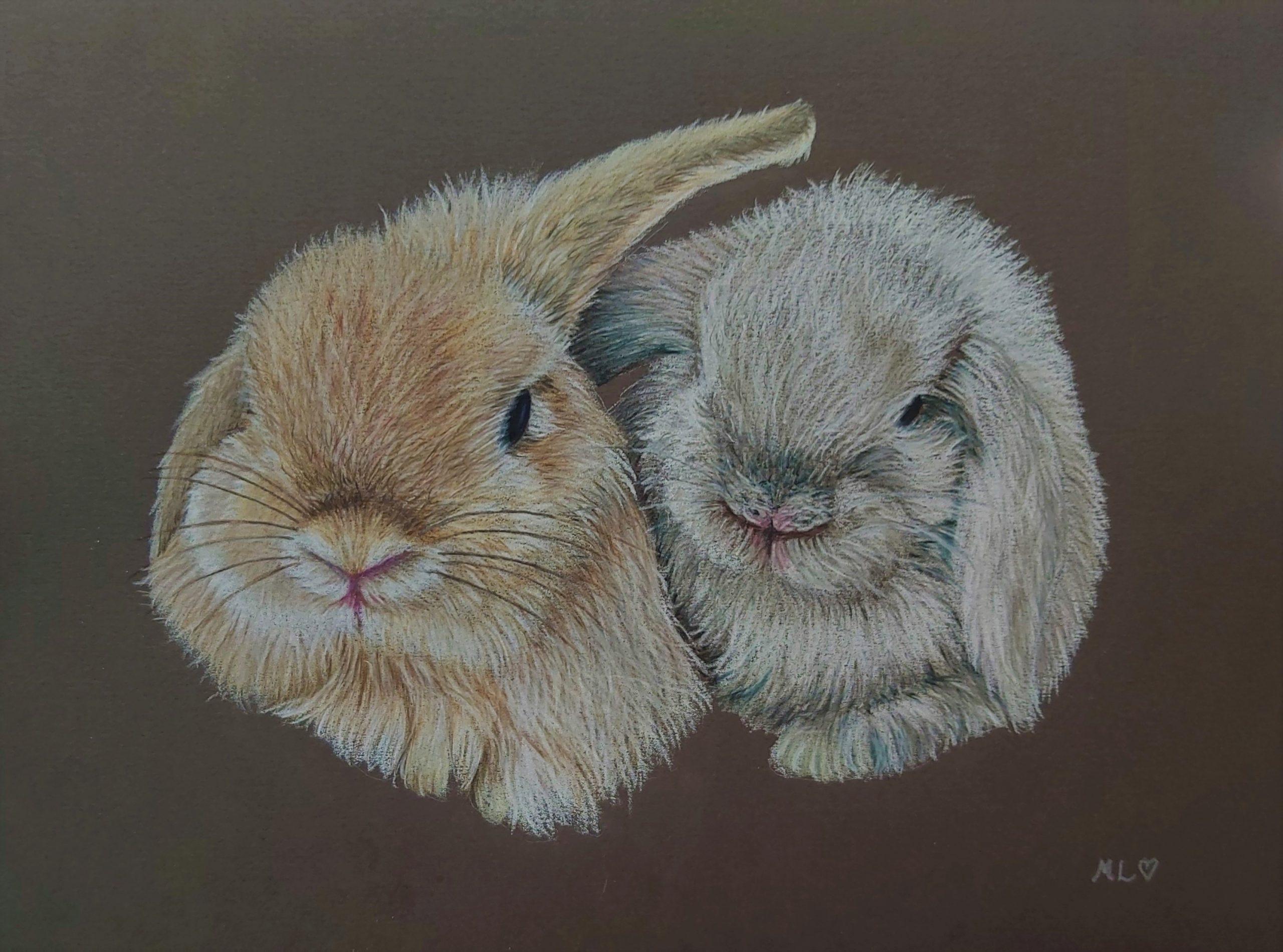 rabbits (7)